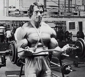 arm blaster warrior gear - programme entraînement biceps