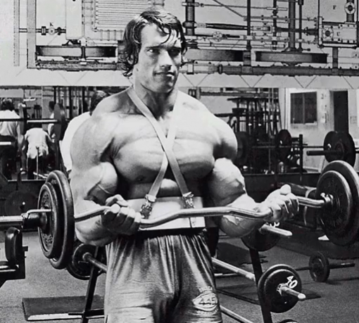 arm blaster warrior gear - programme entraînement biceps